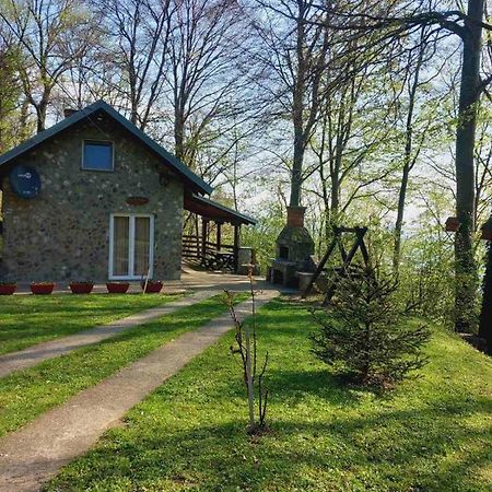 Planinska Kuca Steki Bukulja Villa Arandjelovac Exterior photo