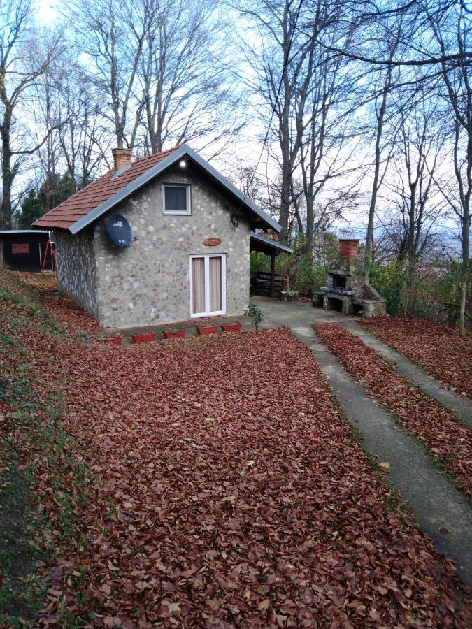 Planinska Kuca Steki Bukulja Villa Arandjelovac Exterior photo