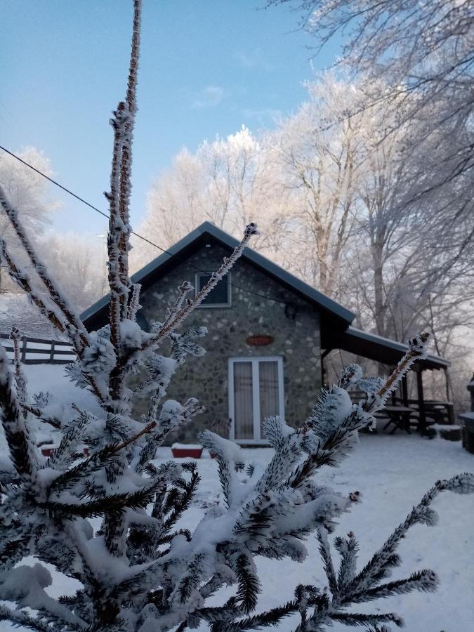 Planinska Kuca Steki Bukulja Villa Arandjelovac Exterior photo